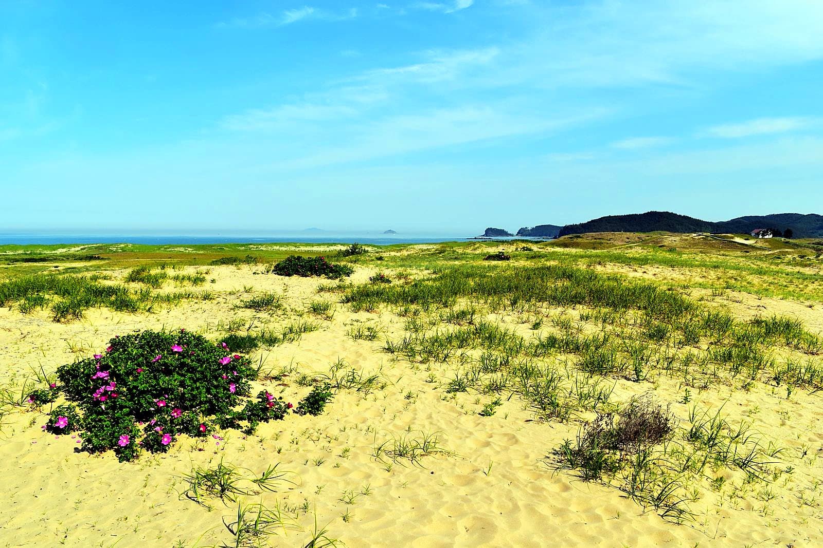 Sinduri Beach & Dunes
