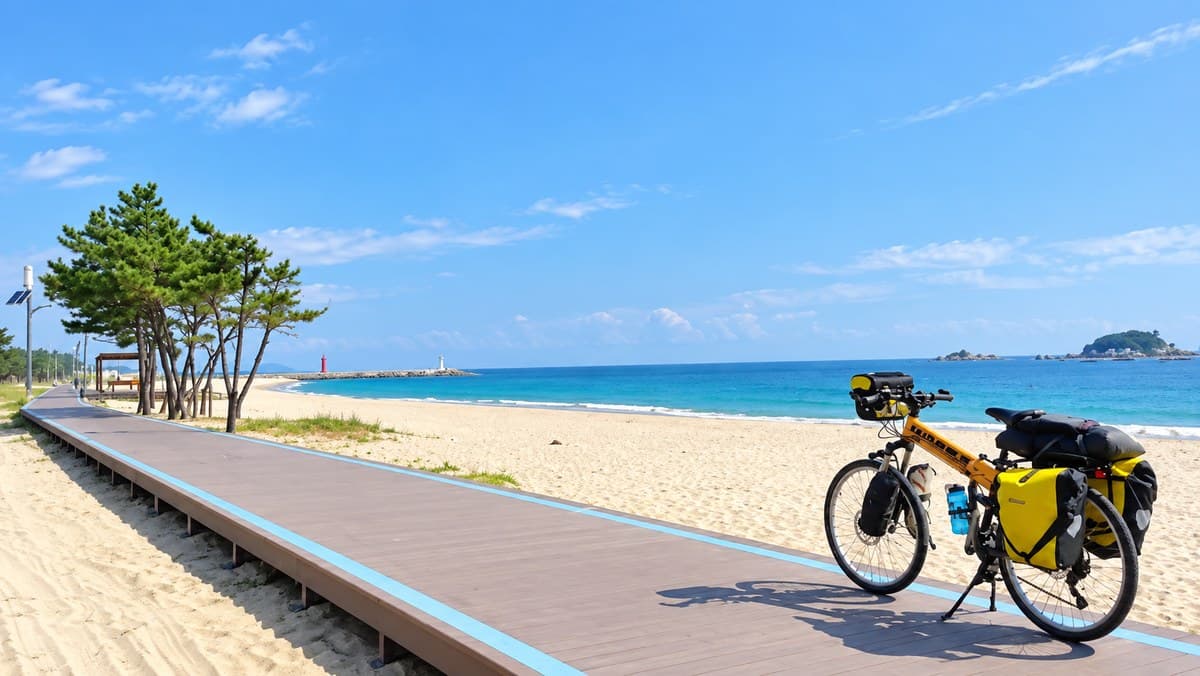 A touring bicycle with yellow panniers resting on a wooden boardwalk beside an empty east-coast beach, pines along the path and a headland out to sea