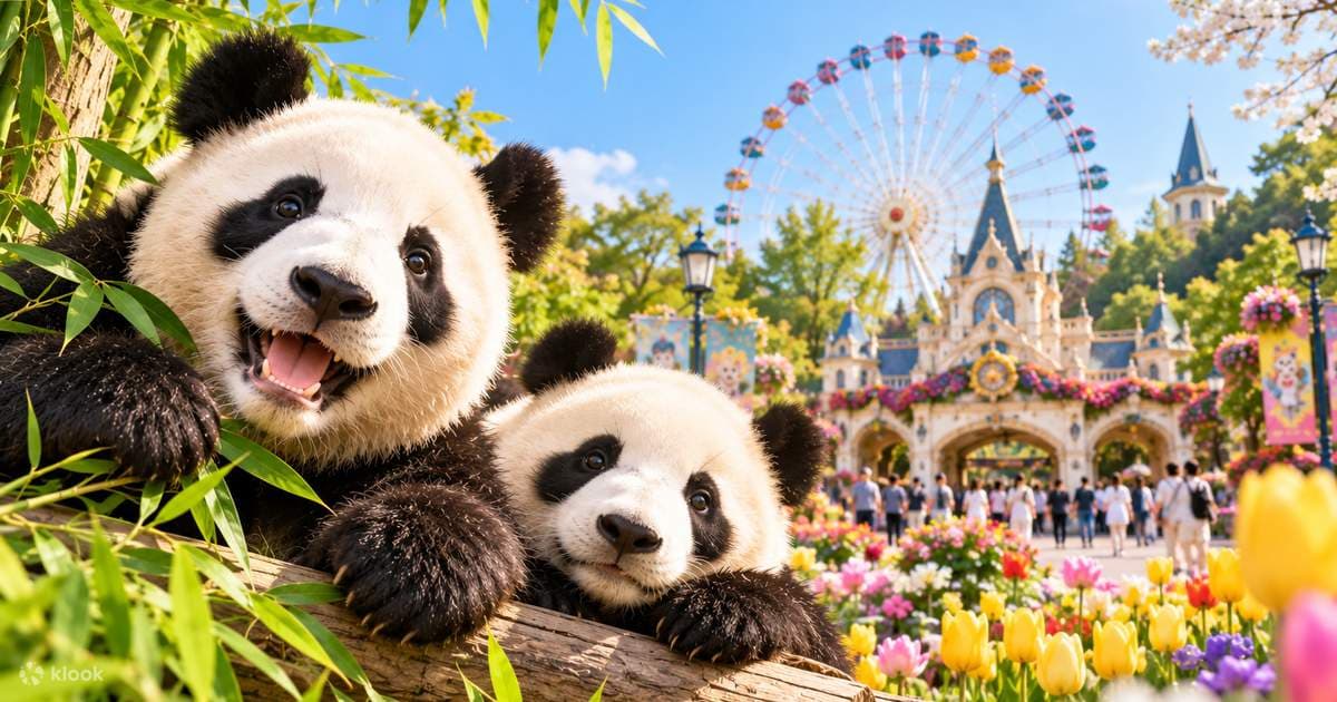 Everland Tour with Shuttle: Fast Panda World Entry