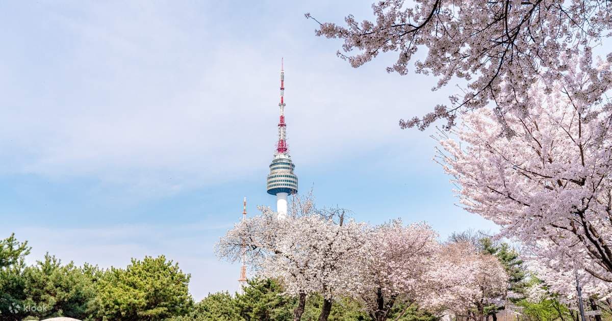 N Seoul Tower Observatory Ticket
